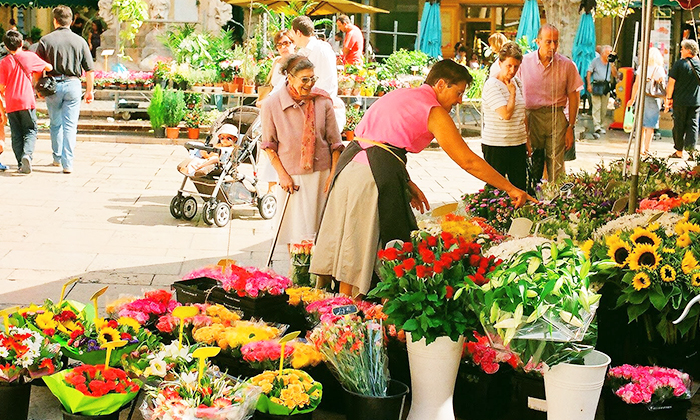 marché aux fleurs provençal